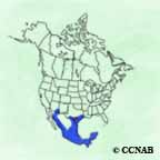 Neotropic Cormorant range map