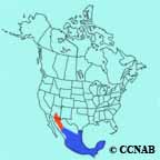 range map