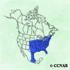 Northern Bobwhite range map