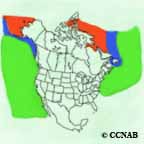 Northern Fulmar range map