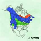 American Goshawk range map