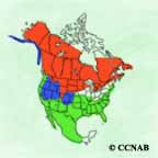 Northern Pintail range map