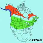 Northern Shrike range map