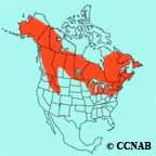 Northern Waterthrush range map