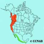 Pacific-slope Flycatcher range