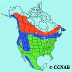 Pine Siskin range map