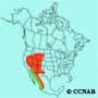 Plumbeous Vireo range map