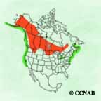 Red-necked Grebe range map