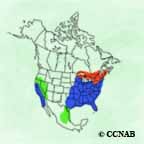 Red-shouldered Hawk range map
