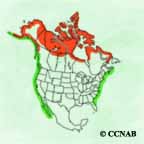 Red-throated Loon range map