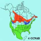 Ring-billed Gull range map