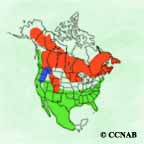 Ring-necked Duck range map