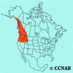 Rufous Hummingbird range map