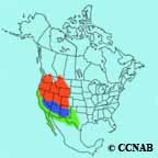 Sage Thrasher range map