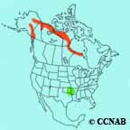 Smith's Longspur range map