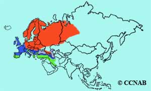 Song Thrush range map