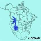 range map