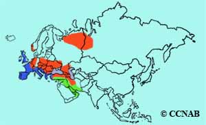 range map