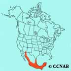 Sulphur-bellied Flycatcher range map