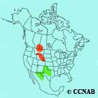 Thick-billed Longspur range map