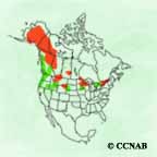 Trumpeter Swan range map