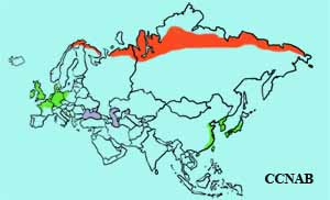 Tundra Bean-Goose range map