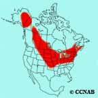 Upland Sandpiper range map