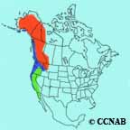 Varied Thrush range map