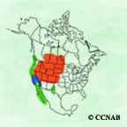 Western Grebe range map