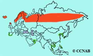 Whimbrel (Eurasian) range map