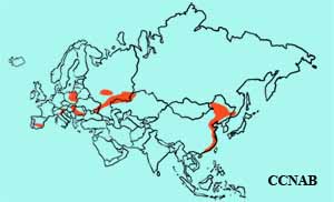 Whiskered Tern range map