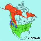 White-crowned Sparrow Range Map