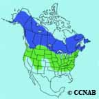 White-winged Crossbill range map