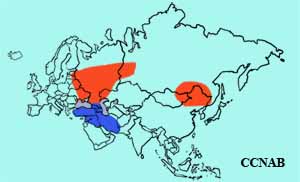 White-winged Tern range map