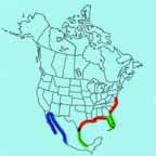 Wilson's Plover range map