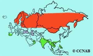 Wood Sandpiper range map