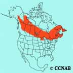 Yellow-bellied Flycatcher range map