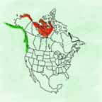 Yellow-billed Loon range map