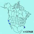 Yellow-chevroned Parakeet range map