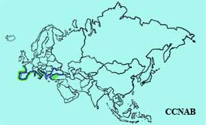 Yellow-legged Gull range map