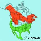 Yellow-rumped Warbler (Myrtle) range map