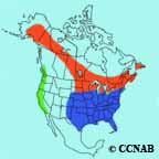 Yellow-shafted Flicker range map