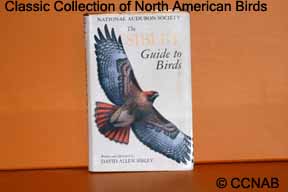 Bird books
