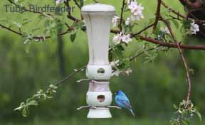 Tube Birdfeeder