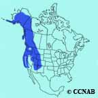 range map