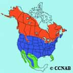 American Robin range map
