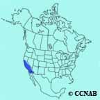 Bell's Sparrow range map
