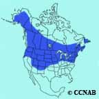 range map