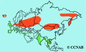 range map
