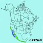 Black-vented Shearwater range map